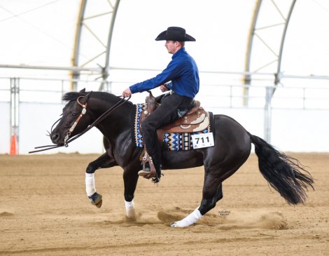 AR Once Upon A Shine, smoky black reining stallion by Smart Charcoal Chex out of a Shining Spark mare