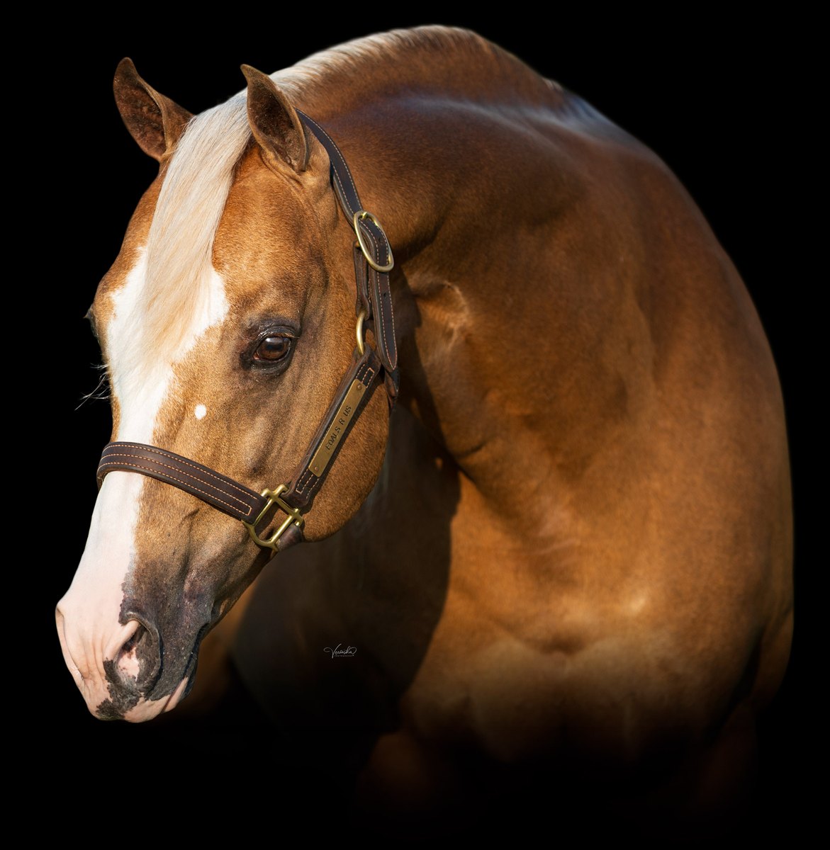 ARC Gunnabeabigstar, palomino reining stallion by Gunnatrashya out of a Wimpys Little Step mare