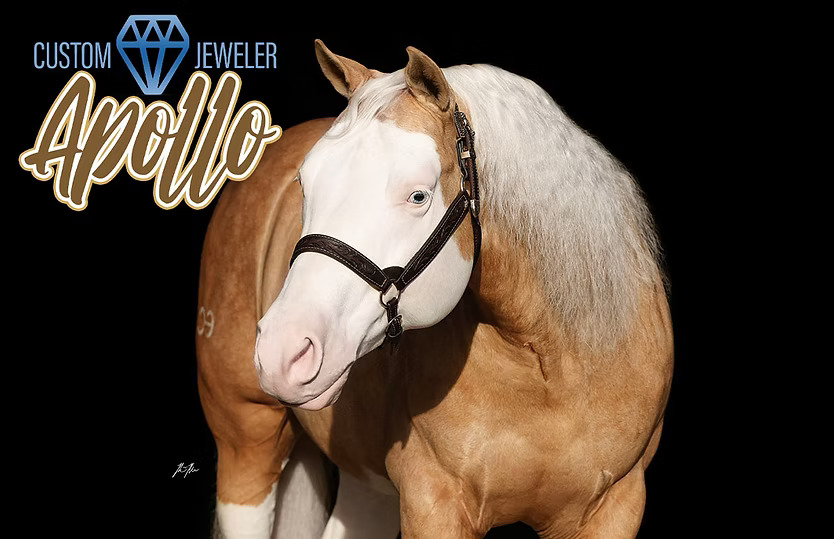 Custom Jeweler, palomino reining stallion by Pale Face Dunnit out of a Custom Crome mare