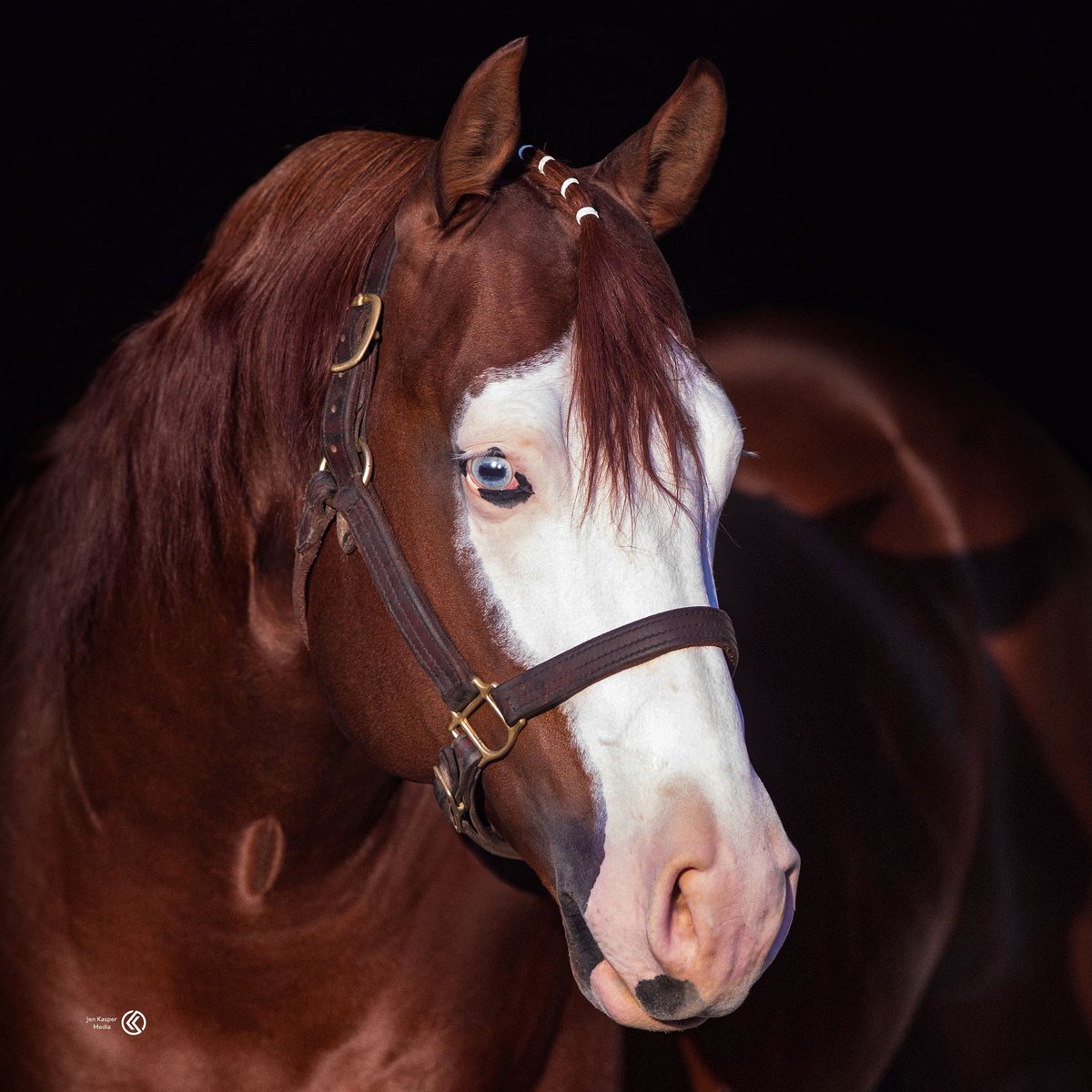 DOWN RIGHT AMAZING, sorrel reining stallion by Colonels Smoking Gun out of a Walla Walla Whiz mare