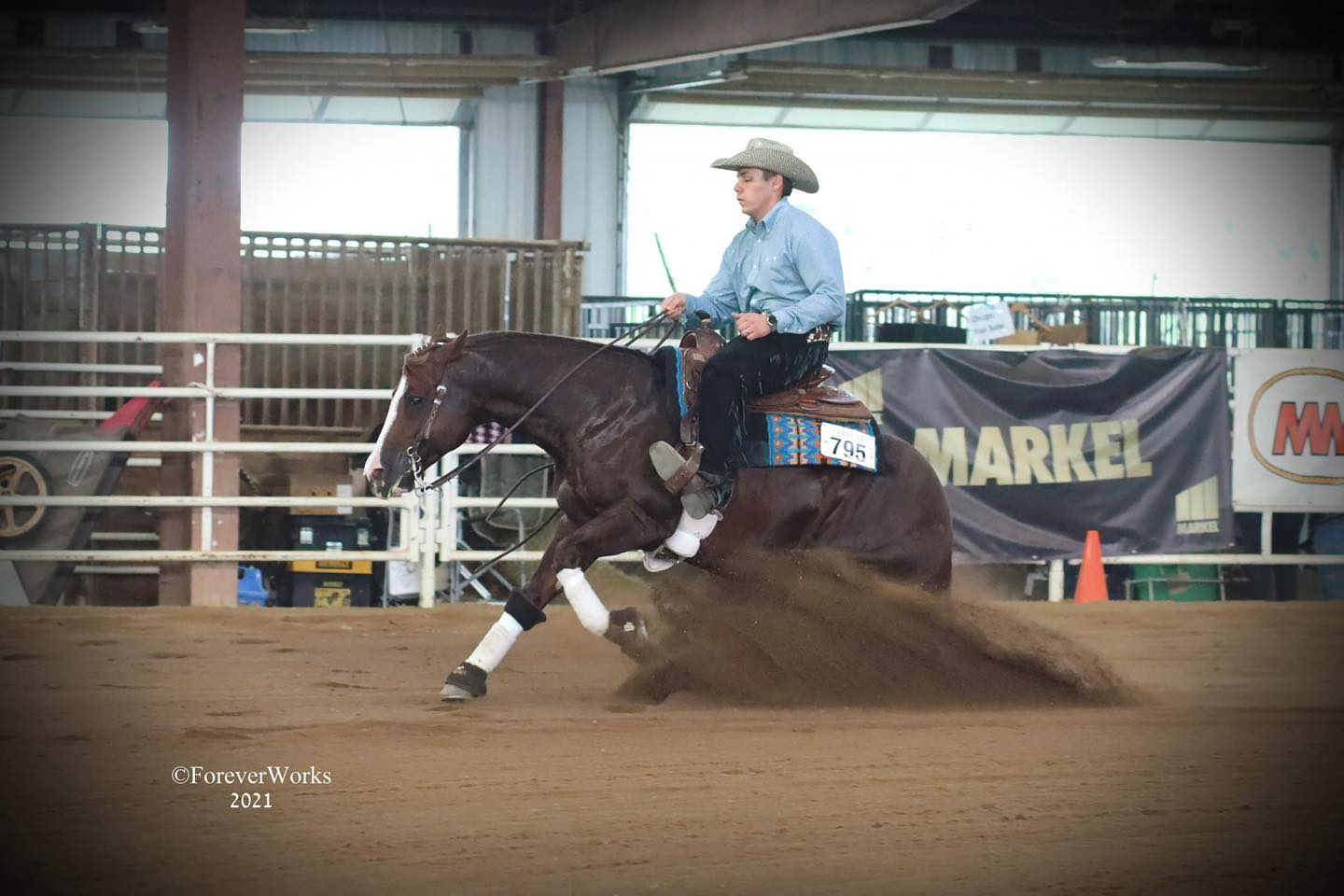 Good Friday For Guns, reining stallion by Tinker With Guns