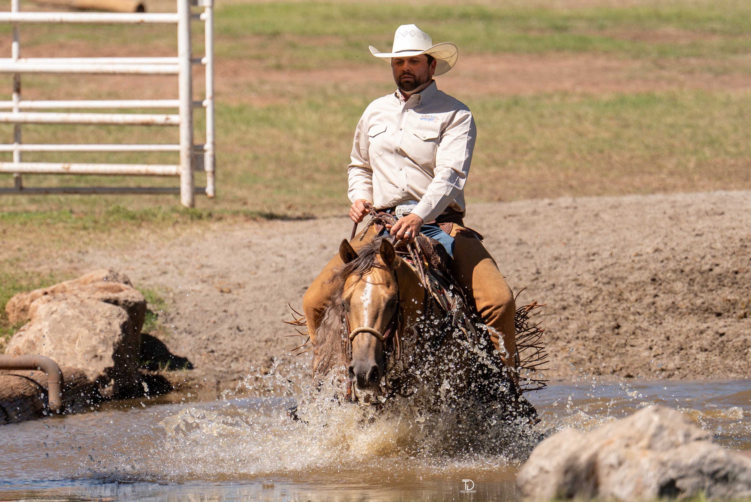 Gun A Lida, palomino reining stallion by Gunnatrashya