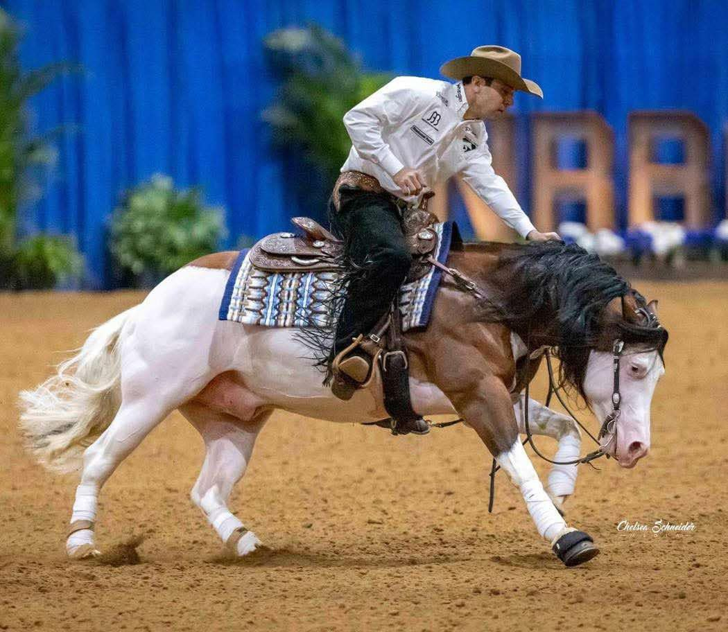Gunna Be The One, bay overo reining stallion by Gunnatrashya out of a Nu Chex To Cash mare
