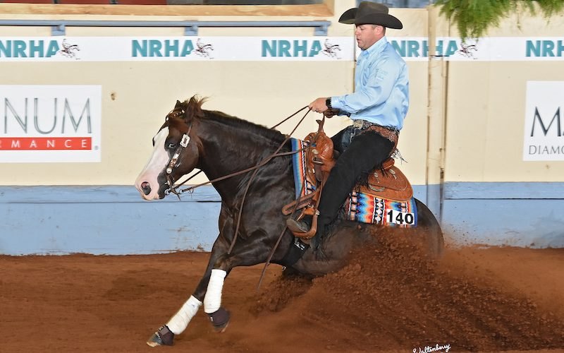 Gunna Stop, sorrel reining stallion by Gunnatrashya out of a Magnum Chic Dream mare