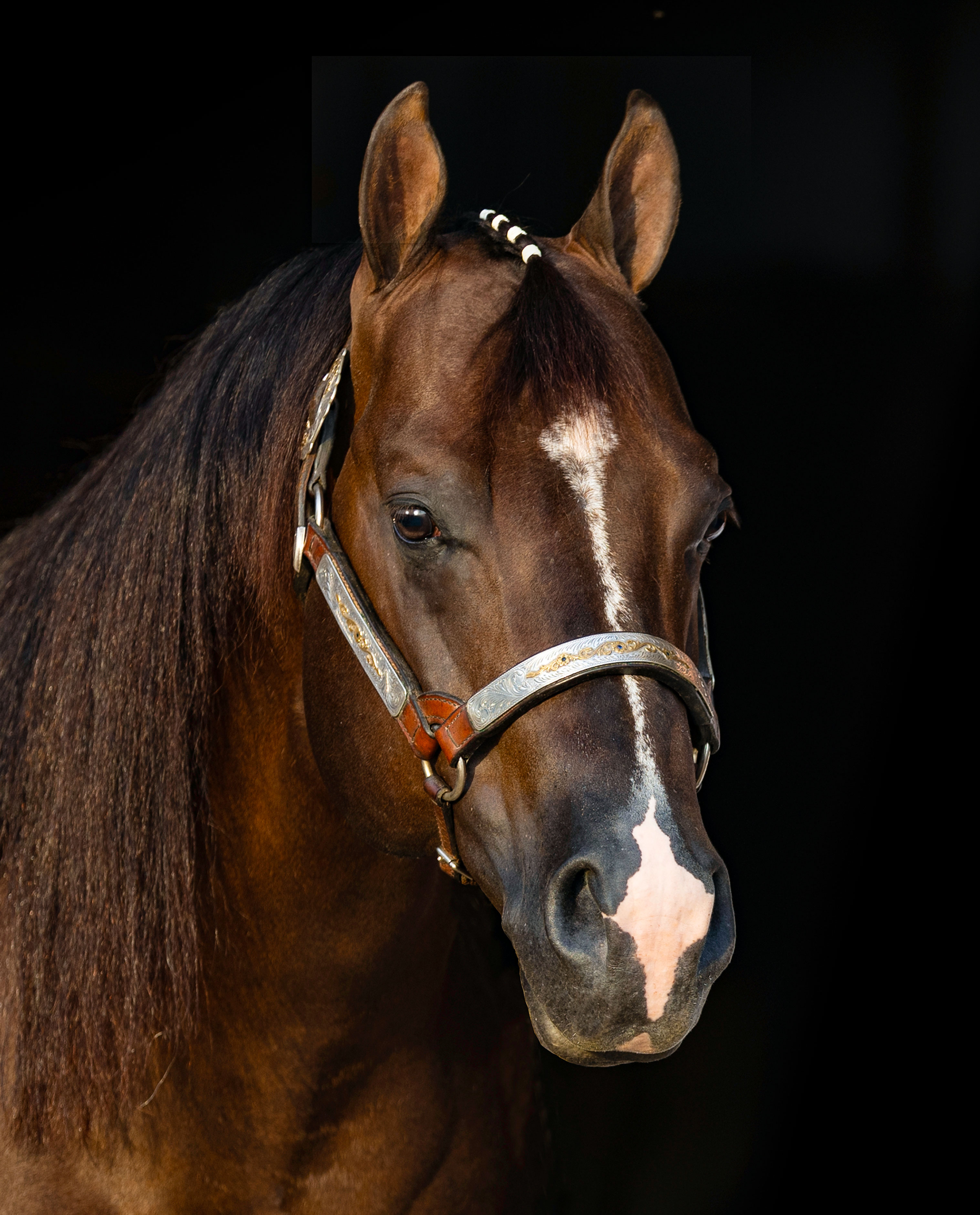 Gunnabebigtime, chestnut reining stallion by Gunnatrashya out of a Shine Big Time mare