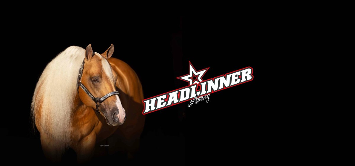Headlinner, palomino reining stallion by Shine Chic Shine out of a Docs Oak mare