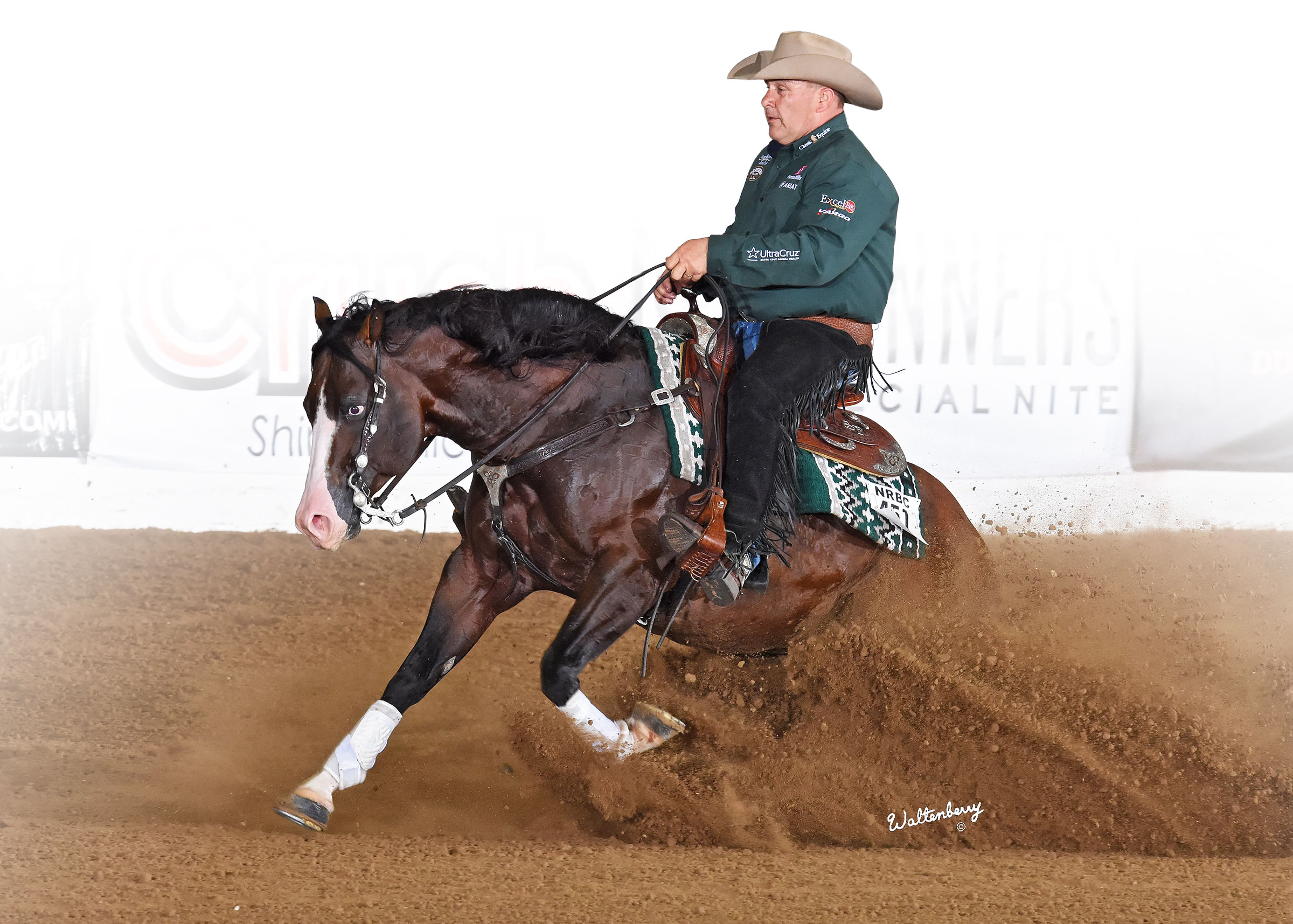 Luckie Moonstone, bay reining stallion by Spooks Gotta Gun