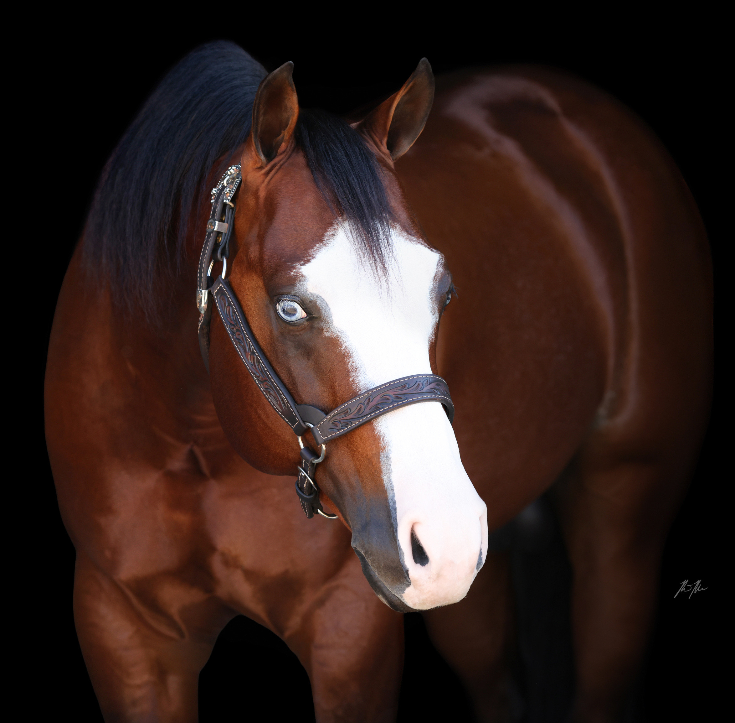 Millionaire, reining stallion by Spooks Gotta Whiz