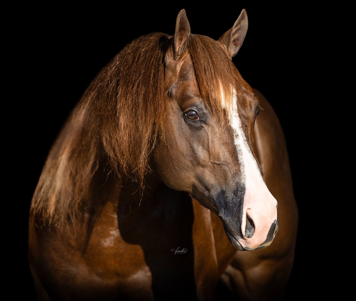 Mr Farenheit, sorrel reining stallion by Magnum Chic Dream