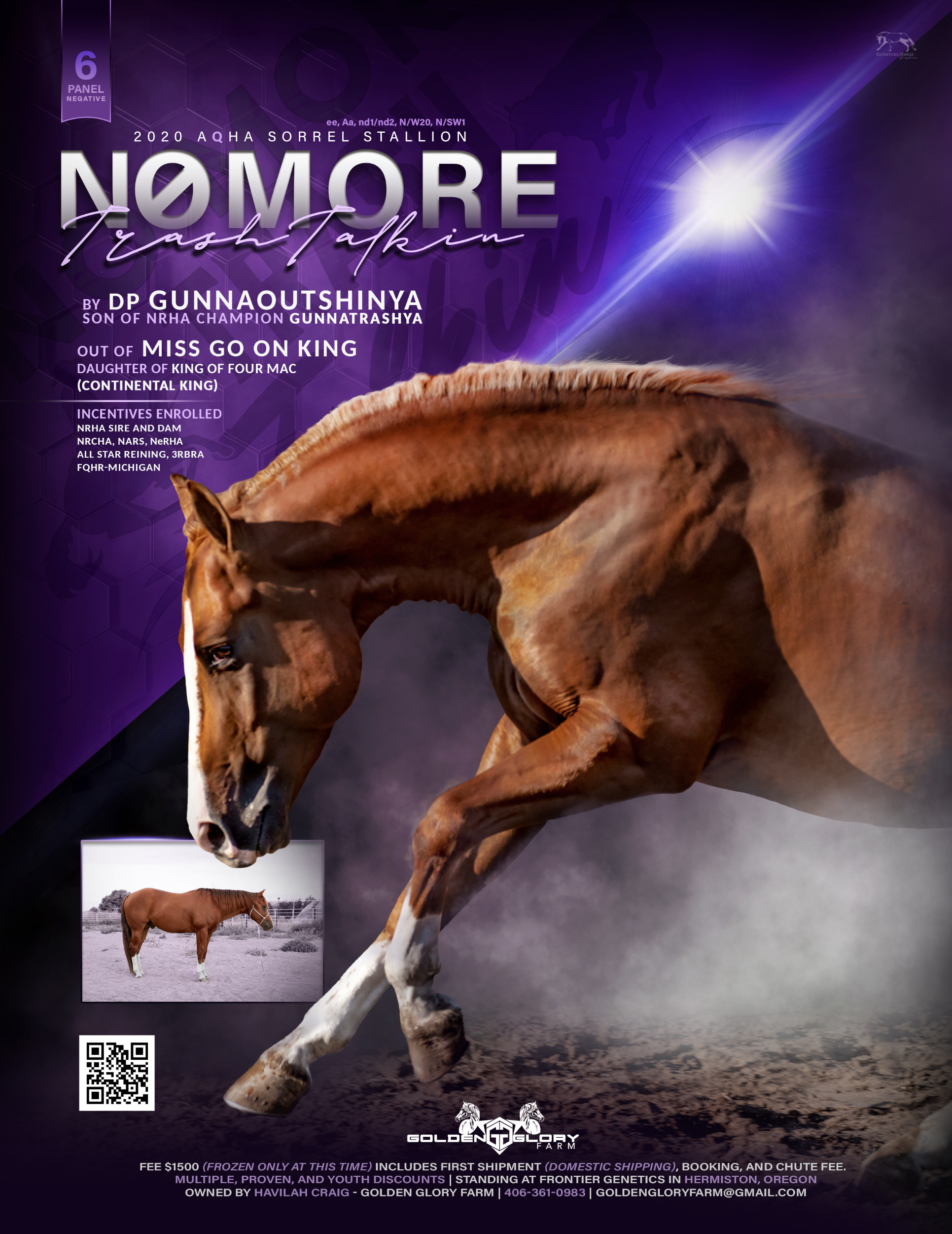 No More Trash Talkin, sorrel reining stallion by DP Gunnaoutshinya
