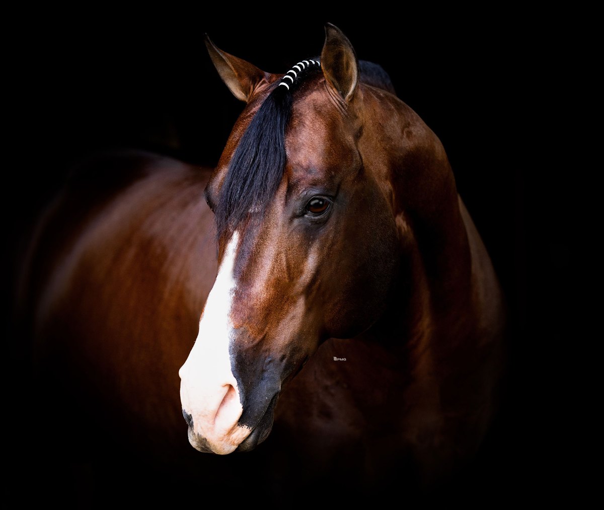 Smoking Trash, bay reining stallion by Gunnatrashya out of a One Gun mare