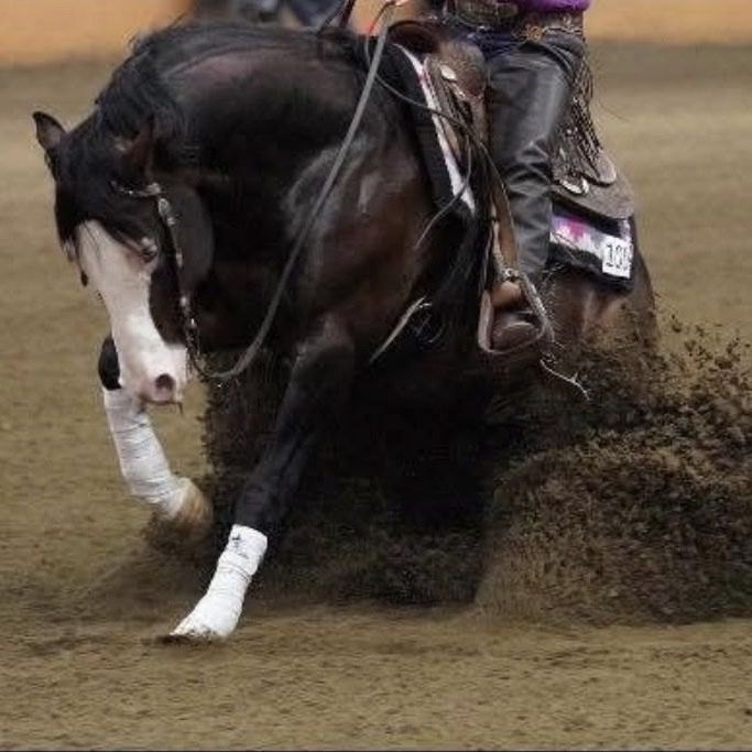 Spooks Big Bang, bay reining stallion by Spooks Gotta Gun