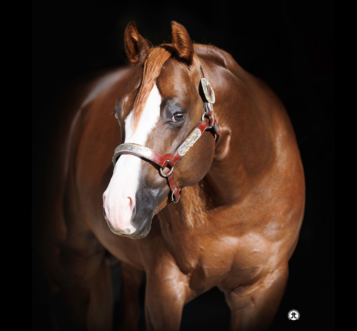 TEN THIRTY, sorrel reining stallion by Gunnatrashya out of a Wimpys Little Step mare