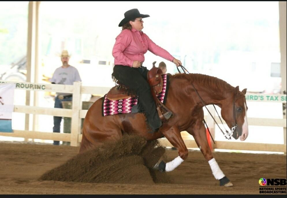 The Trash Man, reining stallion