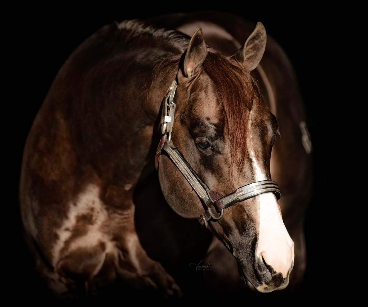 Tinker With Dreams, sorrel reining stallion by Tinker With Guns out of a Magnum Chic Dream mare