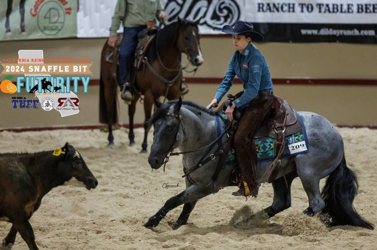 Venom Boonsmal, blue roan reining stallion by Peptoboonsmal