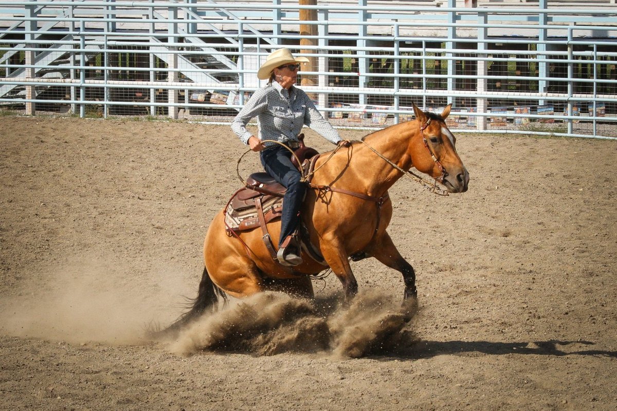 Wicked Pretty, black reining stallion by Pretty Peppy Chec out of a Whizard Jac mare — gallery photo 1