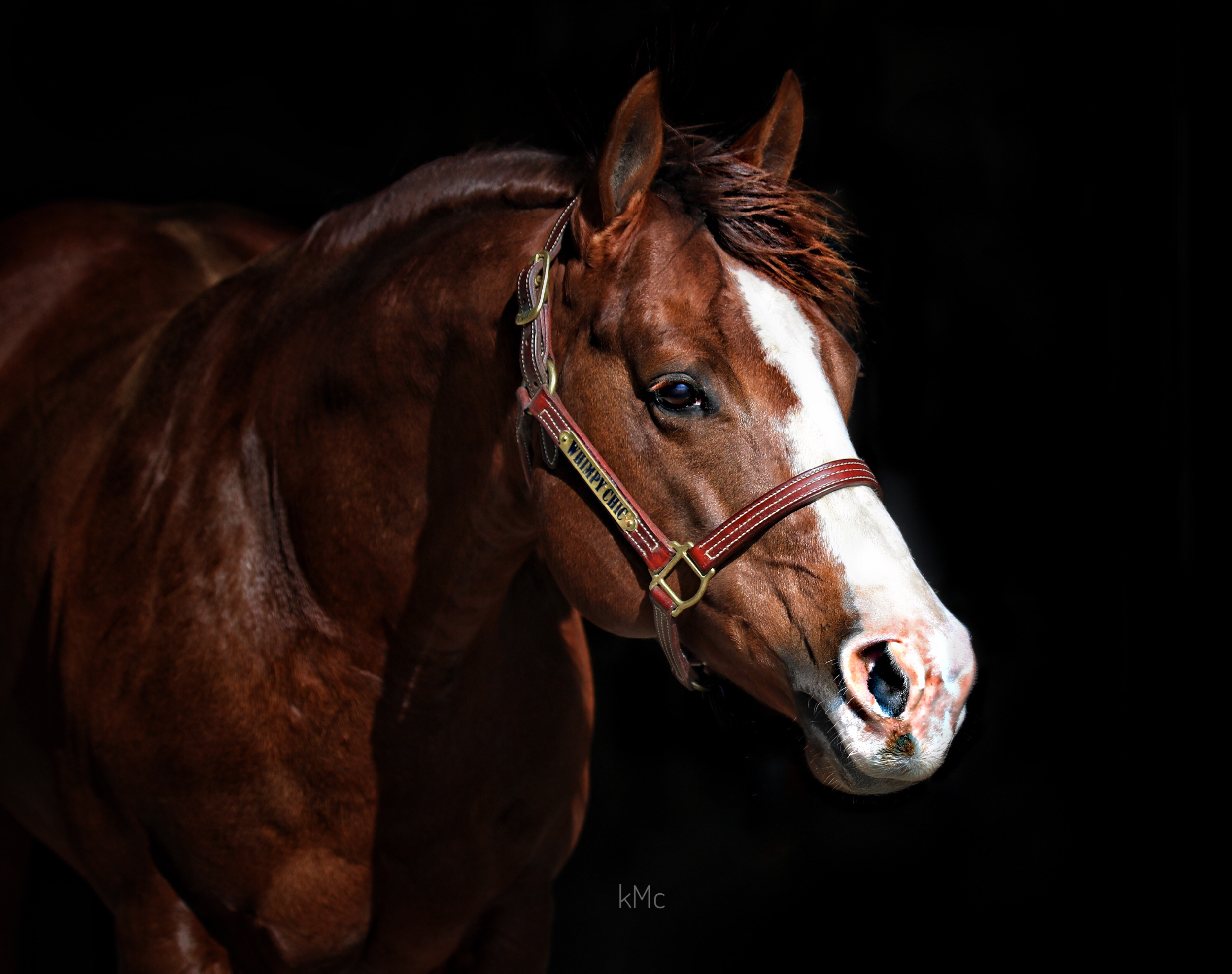 Wimpy Chic, sorrel reining stallion by Wimpys Little Step out of a Smart Chic Olena mare