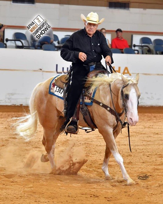 Wimpy McClain, reining stallion by Wimpys Little Step